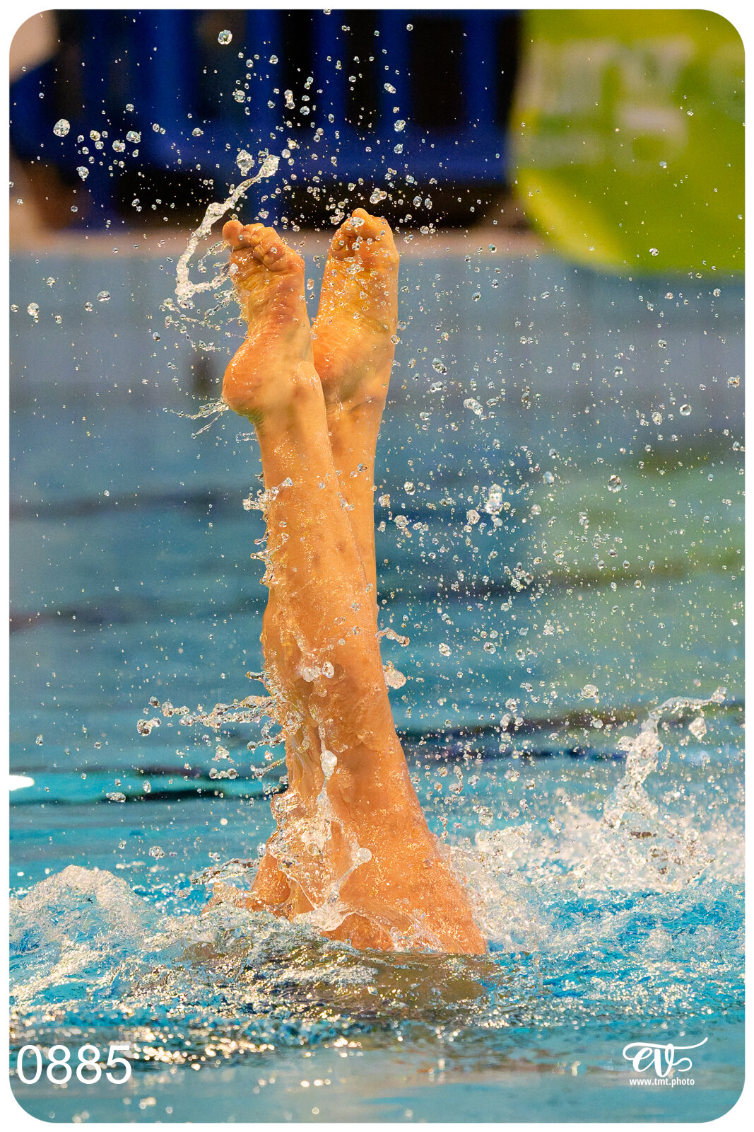 CHAMPIONNAT DE FRANCE DE NATATiON ARTISTIQUE N1 & ELITE 2026